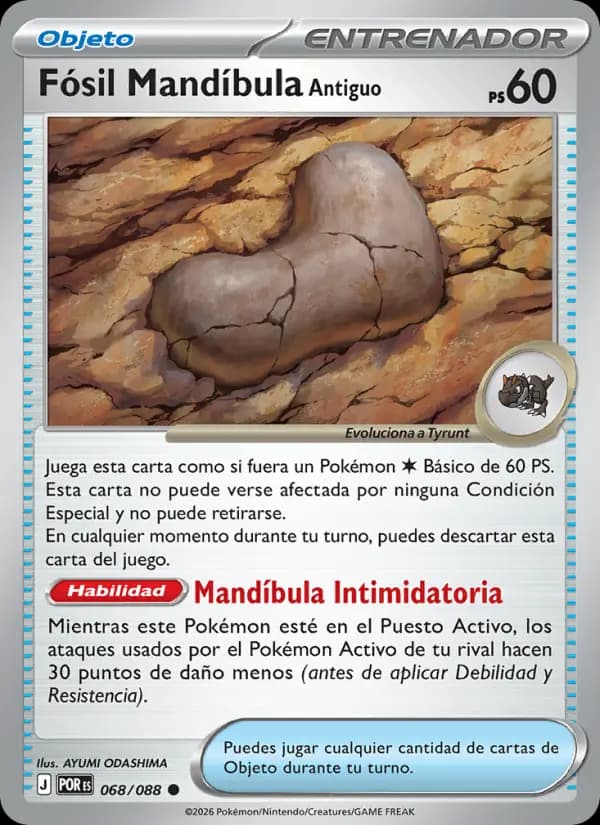 Fósil Mandíbula Antiguo
