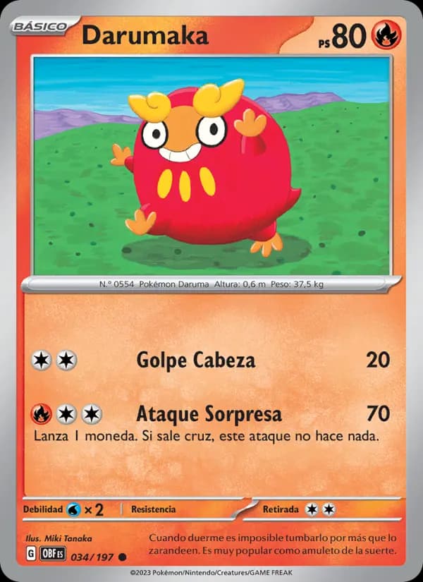 Darumaka