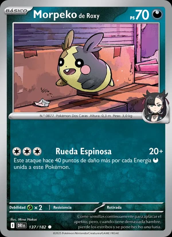 Morpeko de Roxy