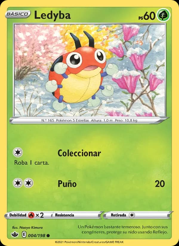 Ledyba
